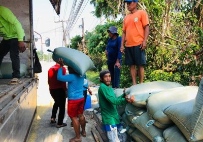 MASCOOP Agribusiness Team Boosts Rice Supply Efforts