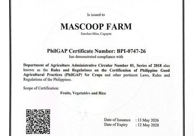 MASCOOP Farm Achieves Prestigious PhilGAP Certification for Sustainable Agriculture